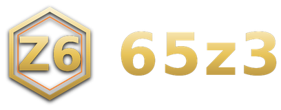 65z3 logo